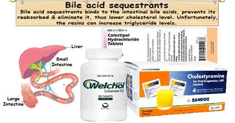It is available in multiple generic and brand versions. . Bile acid binder over the counter